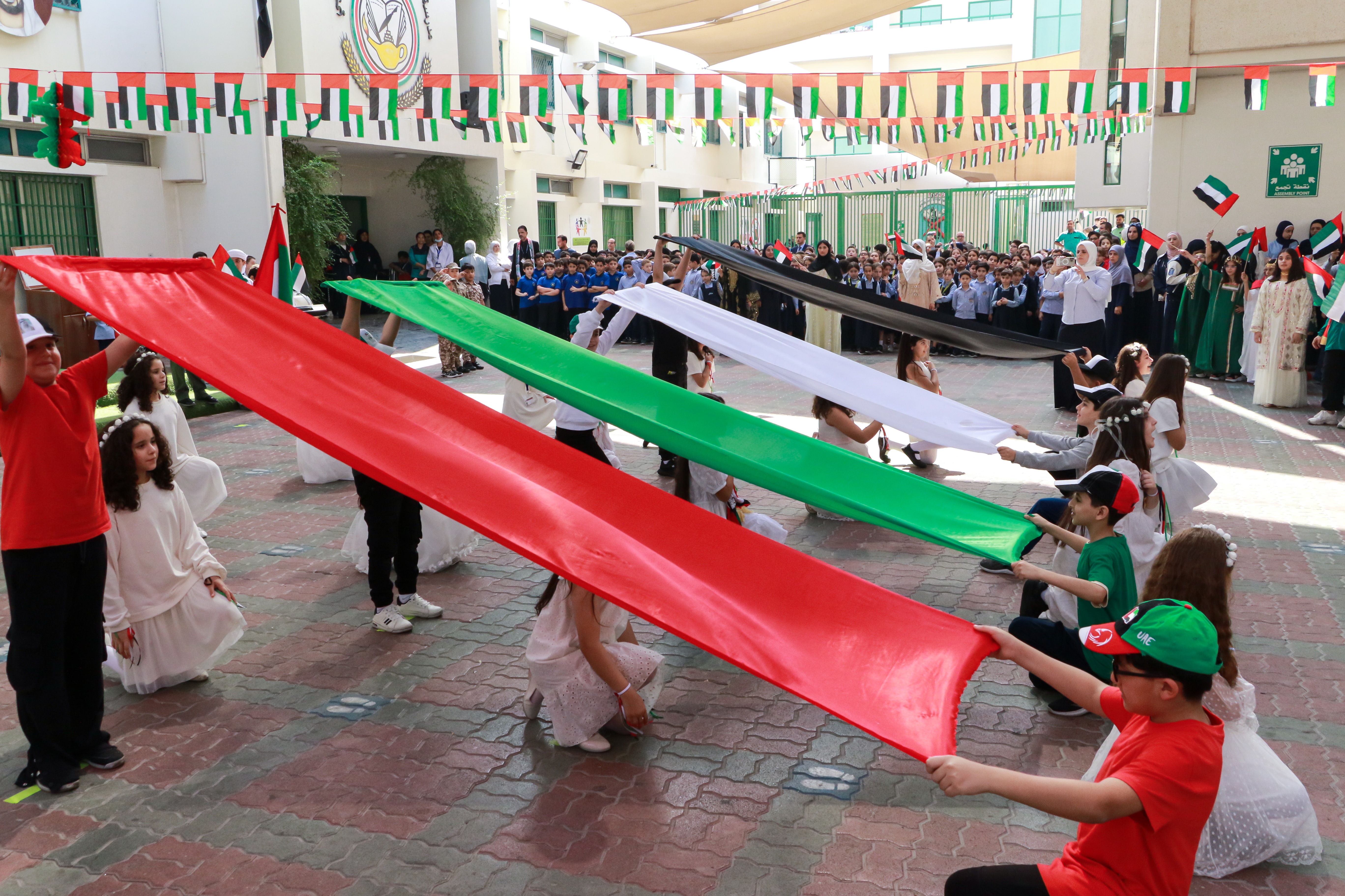 يوم العلم الإماراتي