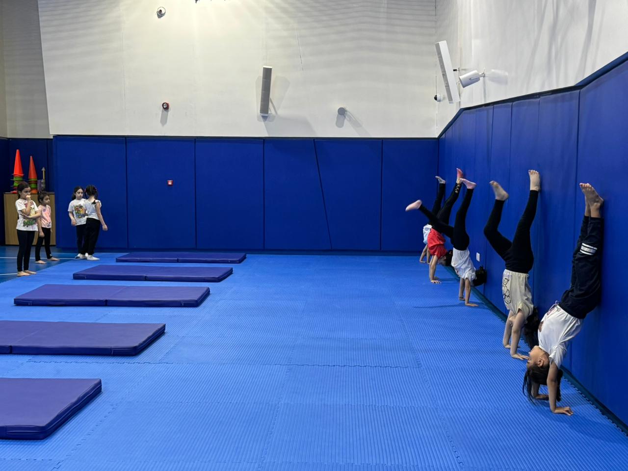 نادي الجمباز